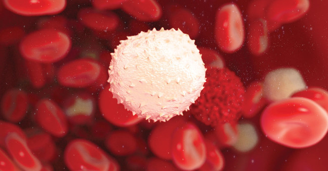 DNA Vaccine with Immunotherapy Can Treat HPV