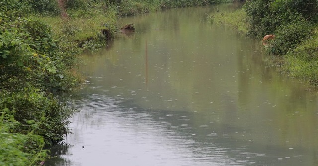 Does the Water Purifier Filter Out Oil?