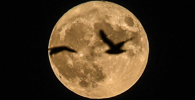 Don't Miss the Biggest Super Moon View in 2017 in the Afternoon
