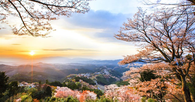 Download Japanese Wallpapers for Windows 10