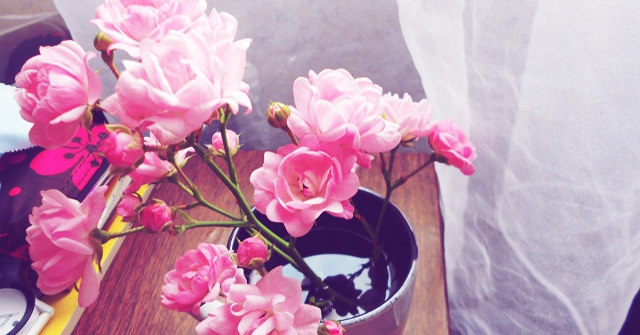 Download Now a Simple but Charming Vintage Photo Wallpaper Theme