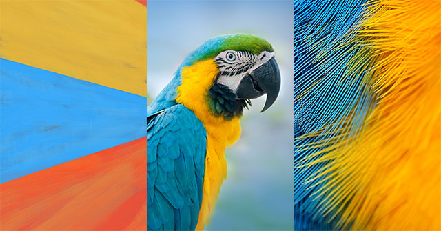 How to Download the 'Super Quality' Default Wallpaper Set on Bphone 3