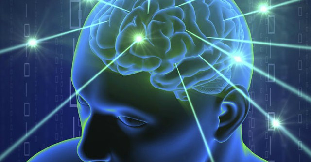 Drinking Alcohol During Adolescence Can Alter the Brain, Affecting