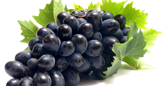 Eat Grapes Daily to Prevent Alzheimer's Disease