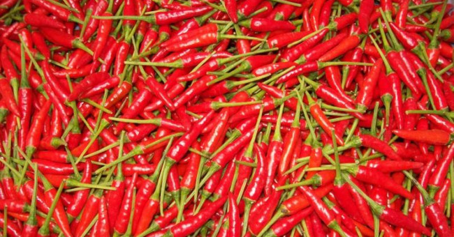 Eating Red Peppers Reduced by 13% the Risk of Death by Stroke, Cardiovascular