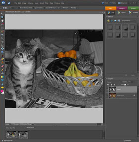 Edit Photos Using Layers