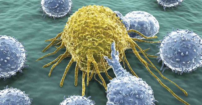 Equip a New 'Weapon' for T Cells to Fight Cancer