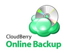 Experience with the Cloudberry Backup Application