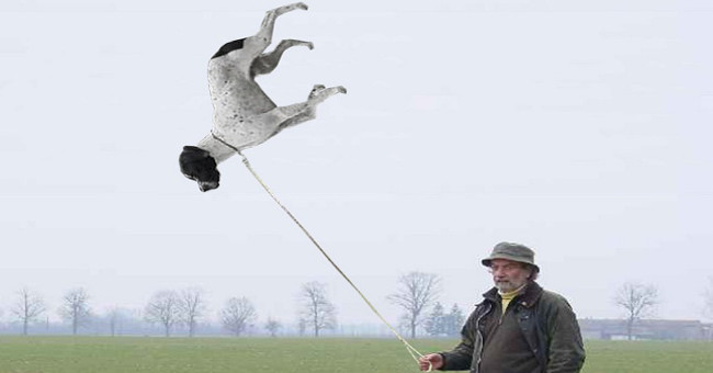 Explaining the Mysterious Gravity Loss Phenomenon in Some Places