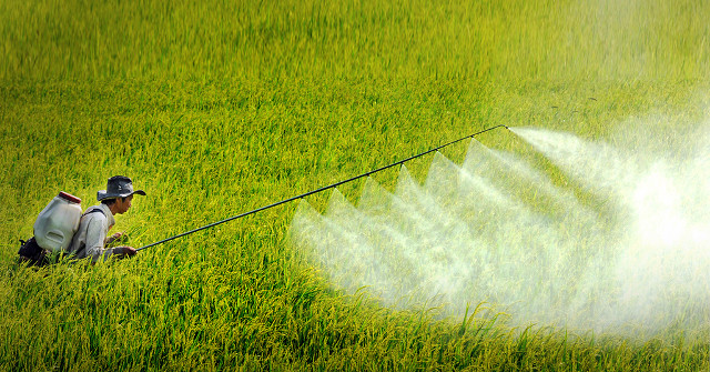 Exposure to Pesticides During Pregnancy Increases the Risk of Brain Tumors in Children