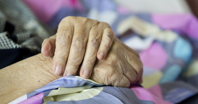 Extract from Plants in Africa May Help Treat Alzheimer's Disease