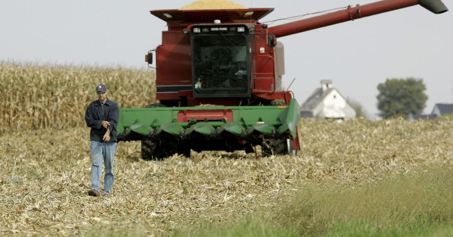 Farmers Have a Higher Risk of Suicide Than Others, a New Study Shows