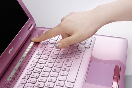 Fashionable Laptop Sony Vaio CS11