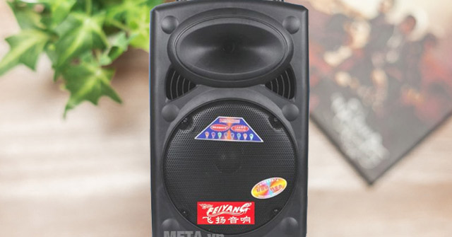 Feiyang 6814L Portable Speaker: 3-inch Bass Speaker, Multi-connection