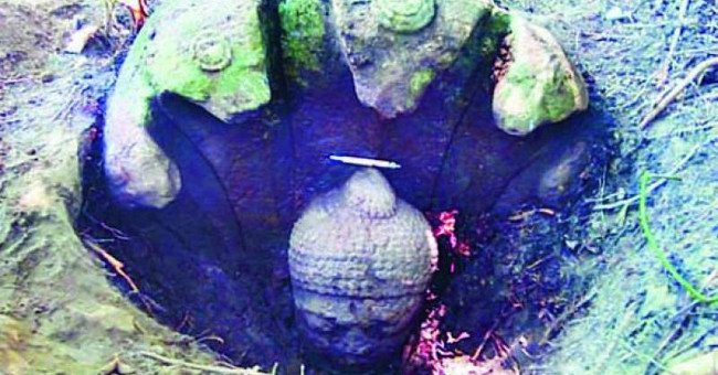 Find a 1,400-year-old Buddha Image in Odisha Village