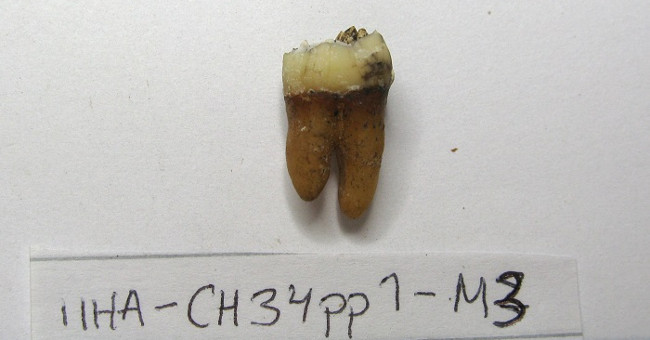 Find New Evidence in the Medieval Cemetery in Ii Hamina