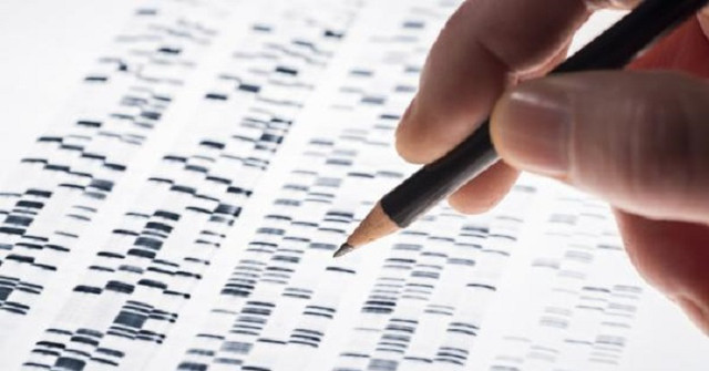 Find Out the Mechanism of Mutation of Strange Genes Leading