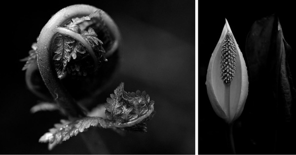 Find Photography Inspiration Within the Limit of Four Walls