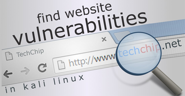 Find Security Holes on Every Site with Nikto