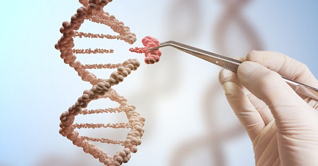Finding a Way to Kill the HIV Virus