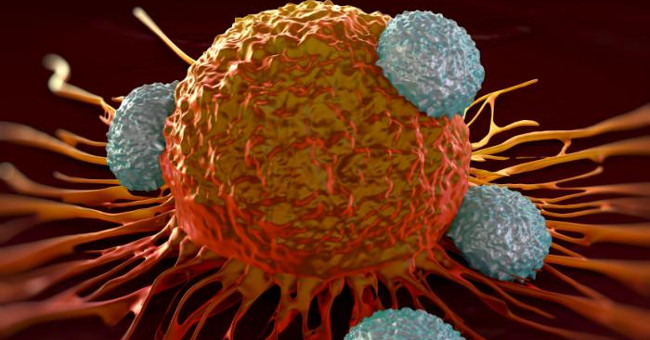 Finding Compounds Can Kill 25% of All Cancers in the Test Environment