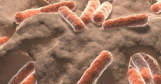Forensics Use Bacteria in the Mouth to Estimate the Victim's Death