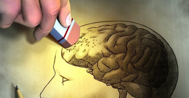 Found Enzymes That Eliminate Cholesterol Help Prevent Brain Damage