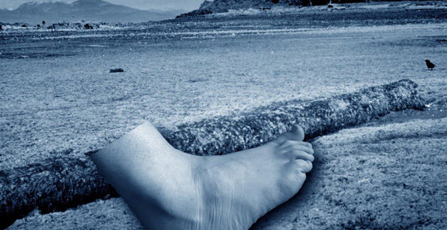 Found the 17th Leg Drifting on the Coast of Columbia, There Has