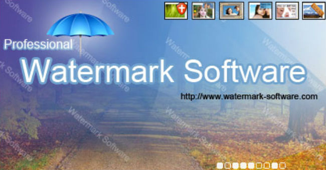 Free Full Set of Editing Products, Photo Design by Watermark