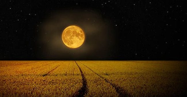 Full Moon Facts - Full Moon You May Not Know Yet