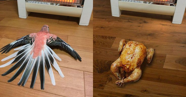 Funny Photo Series in Photoshop Battle of Photo Developers (part 4)