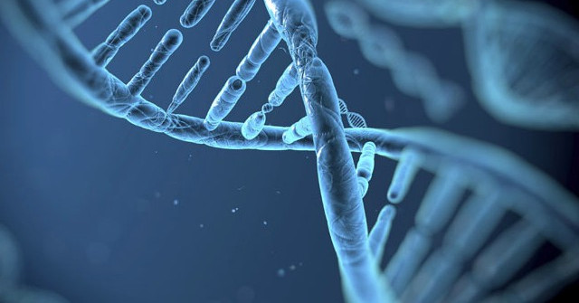 Gen Make You More Friendly: Genes Affect the Social