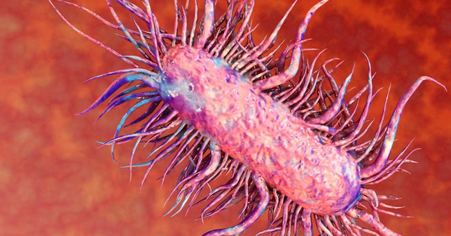 Get Fever with New Technology to Identify E-coli Bacteria