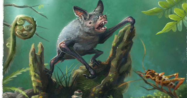 Giant Bat Fossils Have Been Discovered