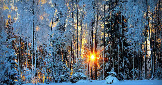 Good Status Sentences and Meanings for Winter: Warm Winter Stt