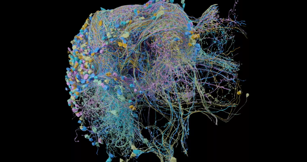 Google Announced the Largest High-resolution Map Ever Available
