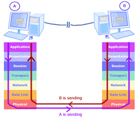 Hardware in OSI Reference Model: Grade 4
