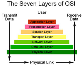 Hardware in OSI Reference Model: Grade 5