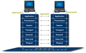 Hardware in OSI Reference Model: Grade 6