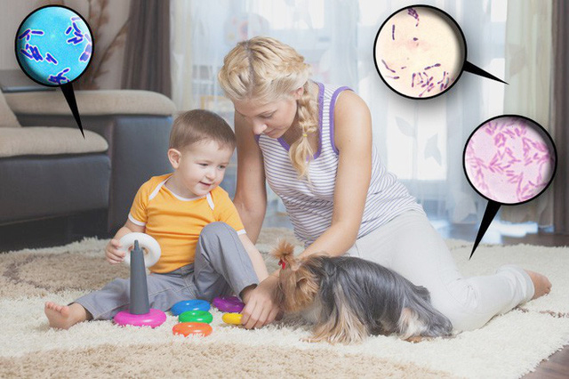 Health-threatening Dangers Are Hiding Right in Your Own Home