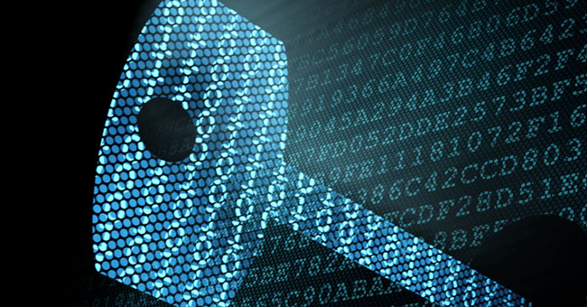 How Are Bitlocker and EFS Different?