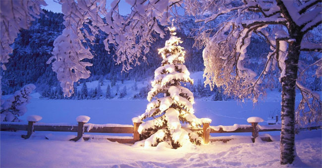 How Does Christmas Snowman Animation Effect?: Snowfall