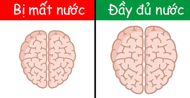 How Does Daily Activities Affect the Brain
