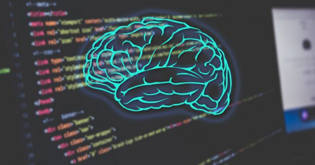 How Does Programming Affect Our Brains