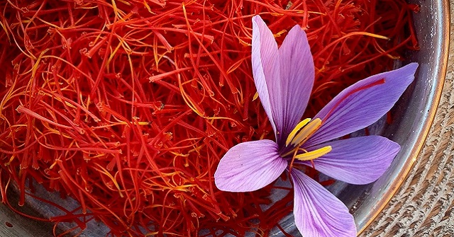 How Much Does the Flower Pistil Cost? Where to Buy Quality