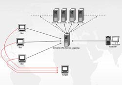 How the Botnet Works