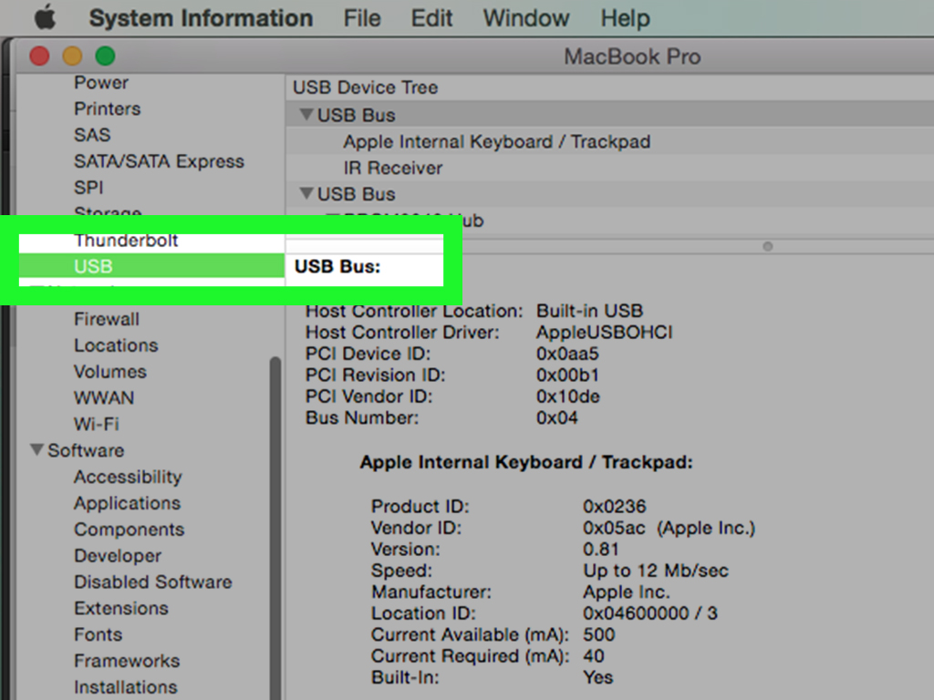 How to Back up an Iphone to Itunes