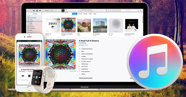 How to Change the File Download Folder on Itunes
