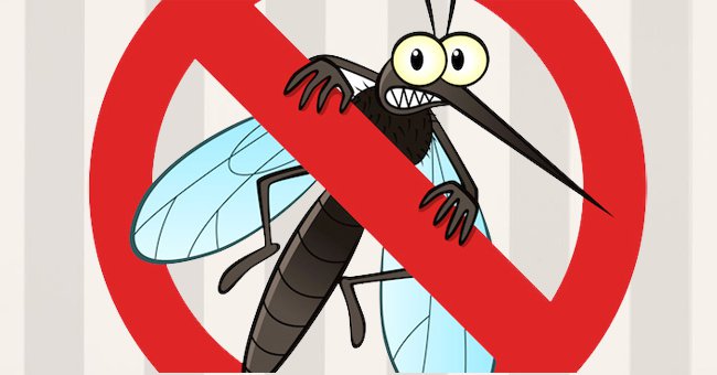 How to Chase Mosquitoes to Prevent Dengue, Zika Virus