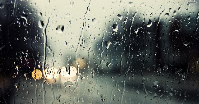 How to Choose a Dehumidifier for Families in the Monsoon Season